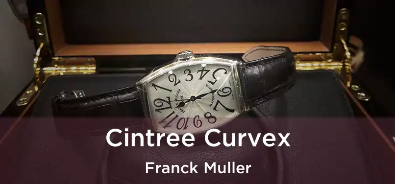  Cintree Curvex Franck Muller