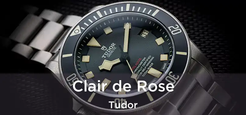  Clair de Rose Tudor