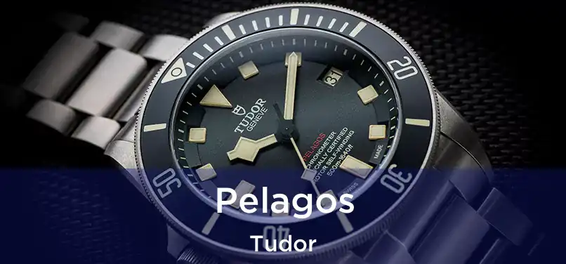  Pelagos Tudor