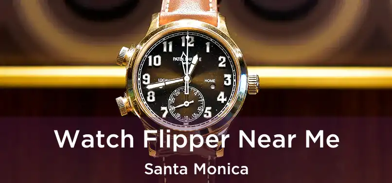  Watch Flipper Near Me Santa Monica